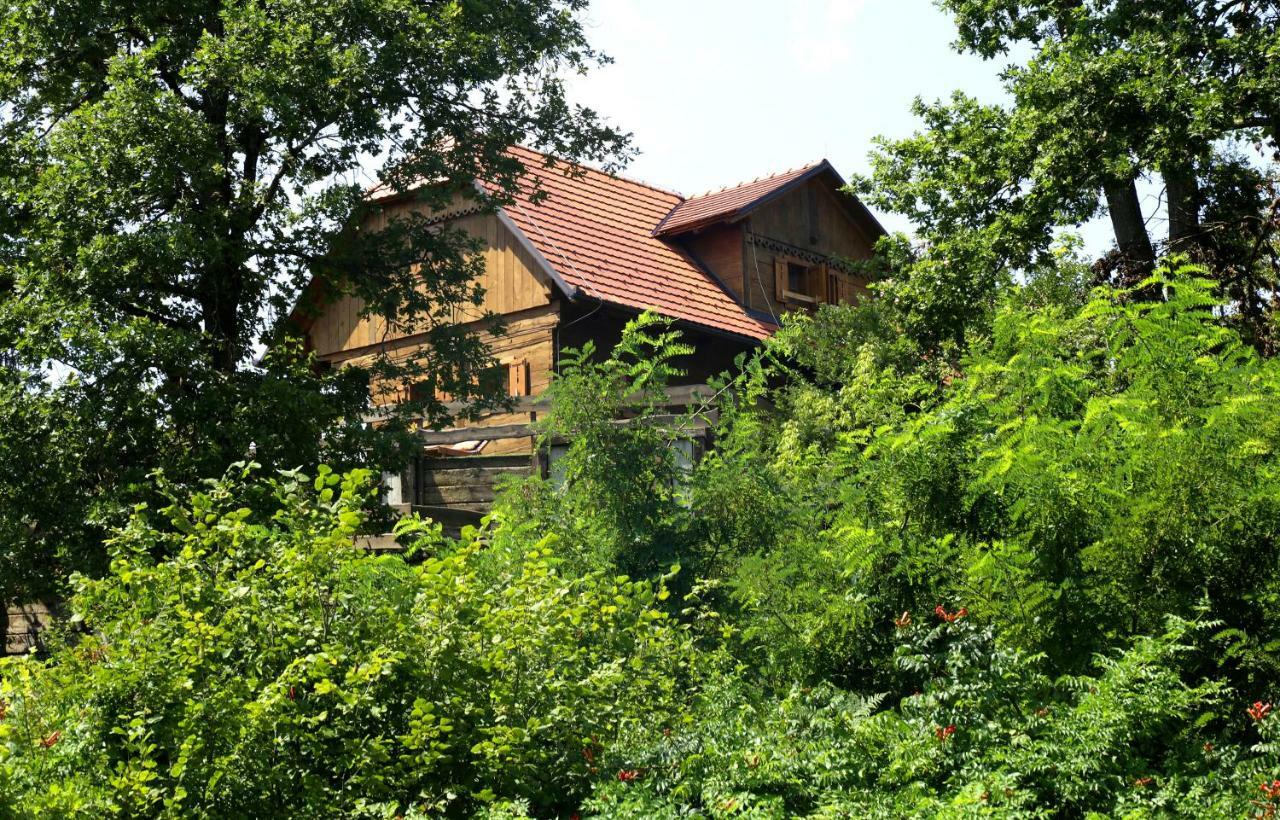 Kuca Suncani Brijeg Pokupsko Exterior photo